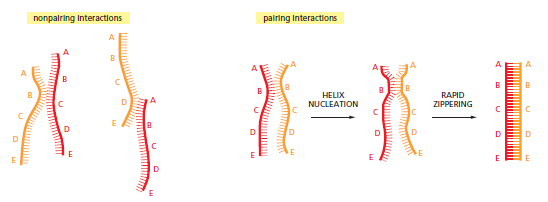 Figure 5-47.png
